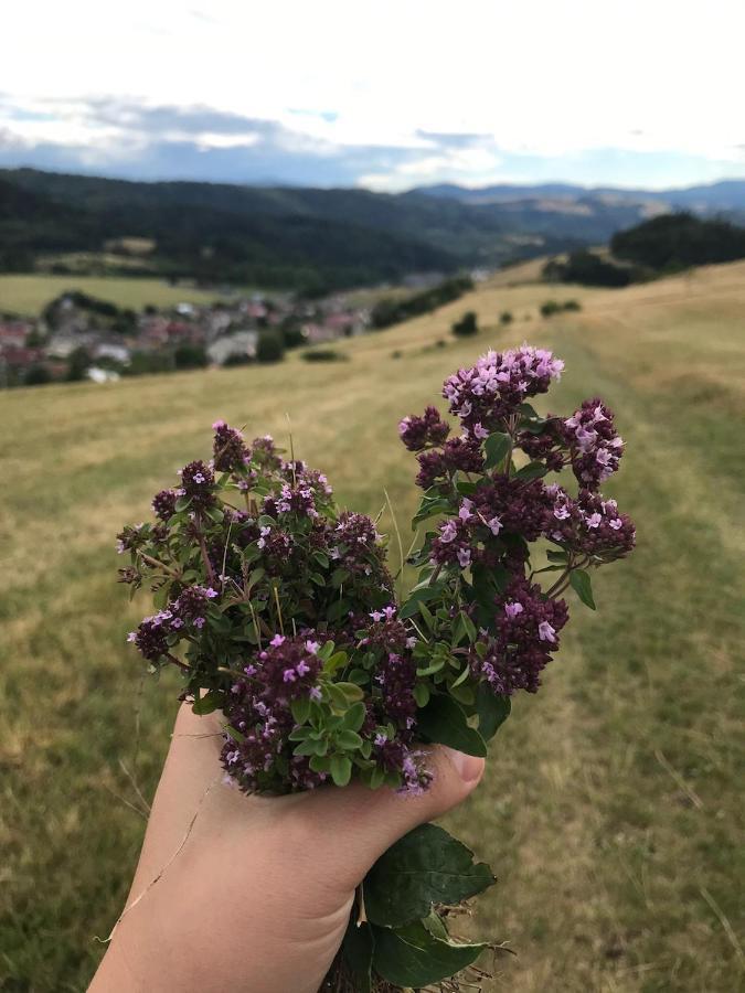 Chalupa Helena na Poráči Exterior foto